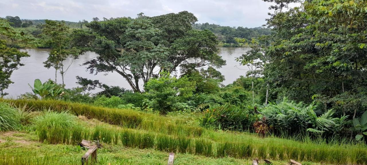 La Mariola - Finca Agroecologica El Castillo de La Concepción Zewnętrze zdjęcie