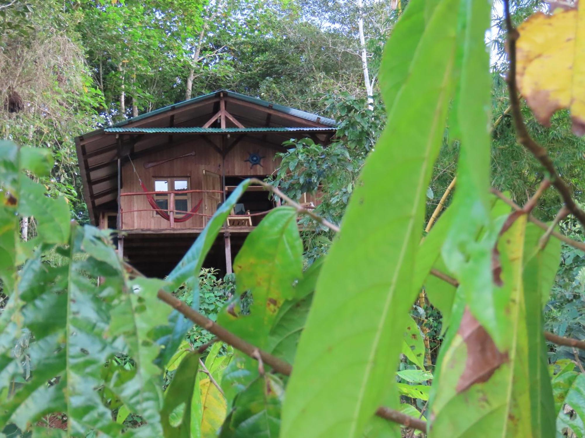 La Mariola - Finca Agroecologica El Castillo de La Concepción Zewnętrze zdjęcie